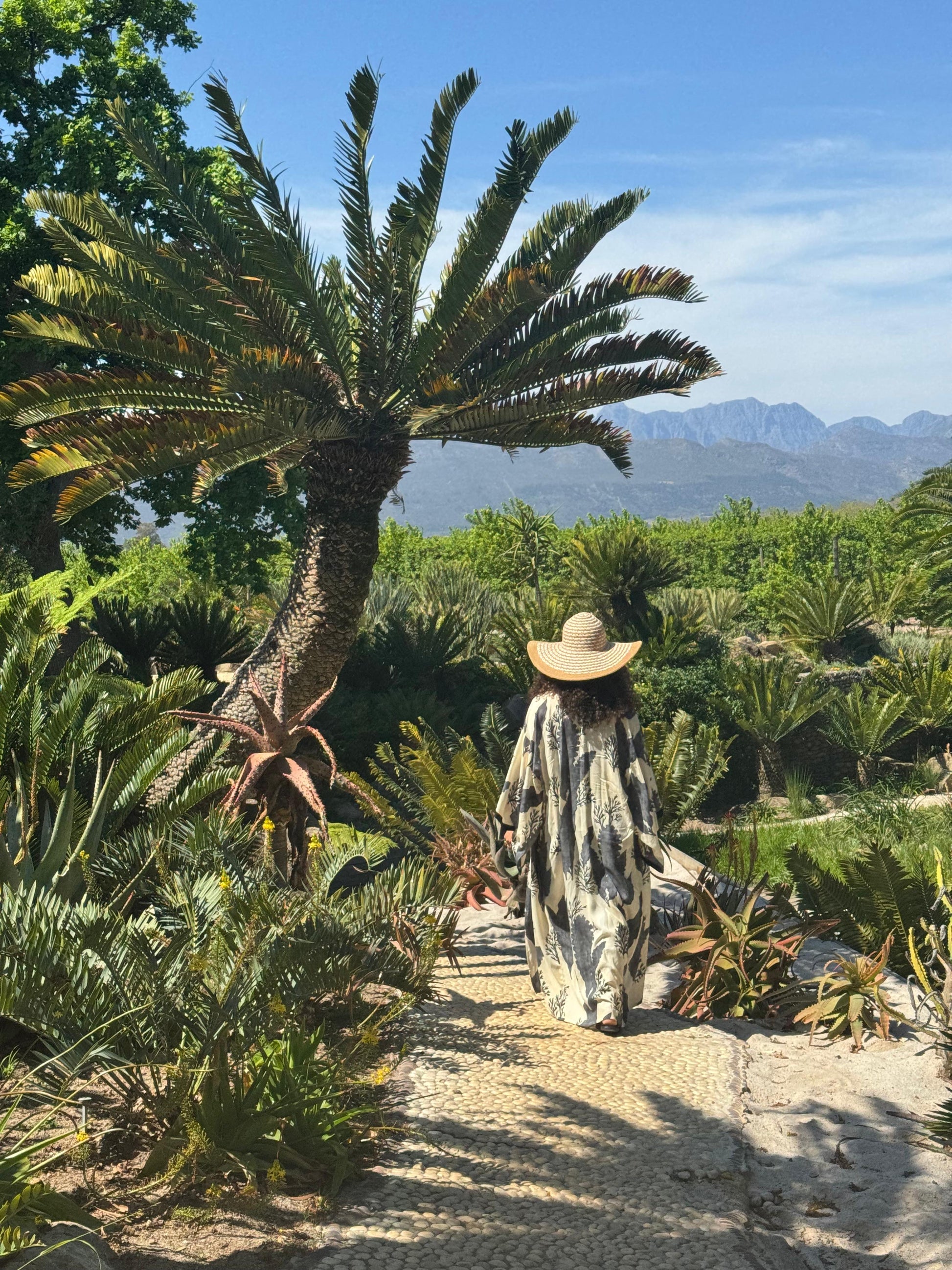 Person walking through a tropical garden with palm trees and mountains in the background